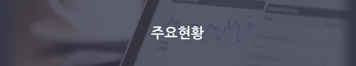 주요현황